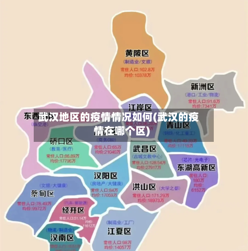 武汉地区的疫情情况如何(武汉的疫情在哪个区)-第3张图片