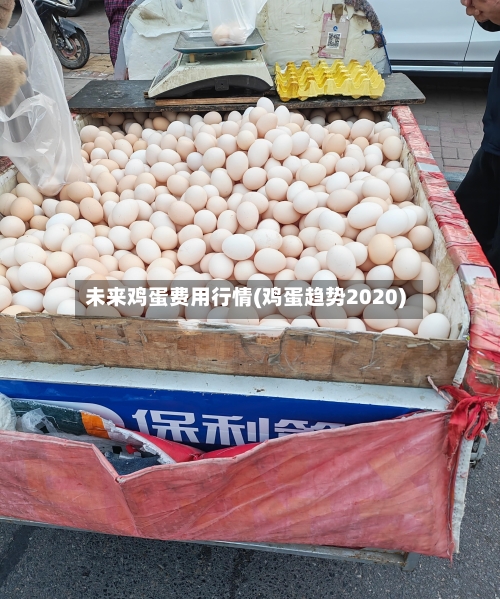 未来鸡蛋费用行情(鸡蛋趋势2020)
