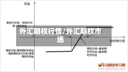 外汇期权行情/外汇期权市场