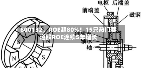 600132，ROE超80%！15只热门赛道股ROE连续5年增长