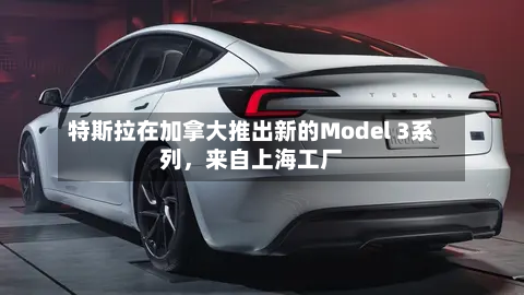 特斯拉在加拿大推出新的Model 3系列，来自上海工厂-第3张图片