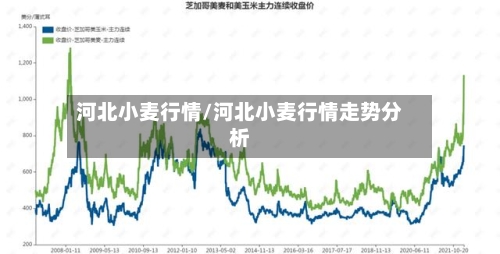 河北小麦行情/河北小麦行情走势分析-第2张图片