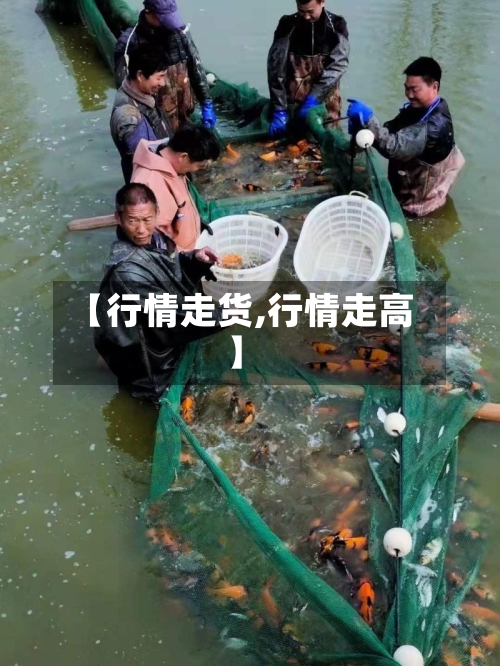 【行情走货,行情走高】