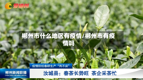 郴州市什么地区有疫情/郴州市有疫情吗