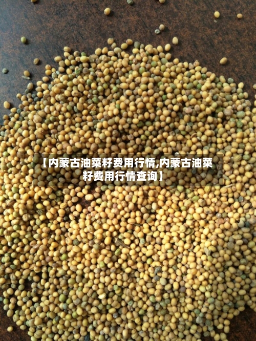 【内蒙古油菜籽费用行情,内蒙古油菜籽费用行情查询】