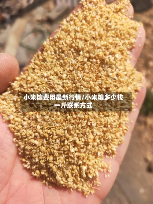 小米糠费用最新行情/小米糠多少钱一斤联系方式