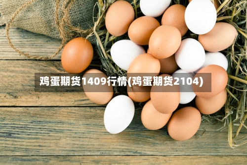 鸡蛋期货1409行情(鸡蛋期货2104)