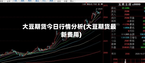 大豆期货今日行情分析(大豆期货最新费用)