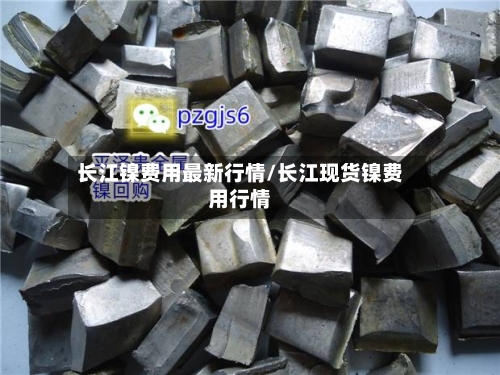 长江镍费用最新行情/长江现货镍费用行情