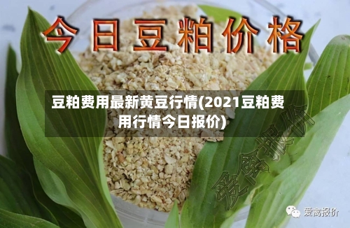 豆粕费用最新黄豆行情(2021豆粕费用行情今日报价)