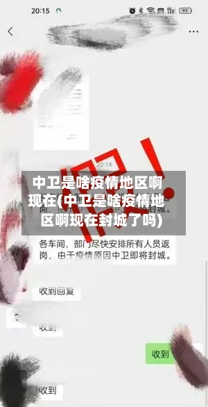 中卫是啥疫情地区啊现在(中卫是啥疫情地区啊现在封城了吗)-第2张图片