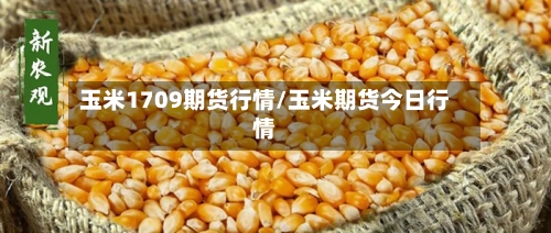 玉米1709期货行情/玉米期货今日行情-第3张图片