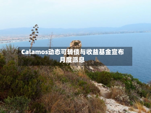 Calamos动态可转债与收益基金宣布月度派息