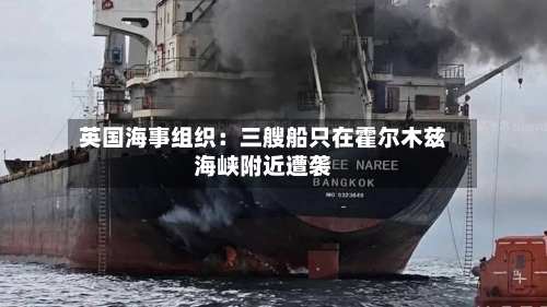英国海事组织：三艘船只在霍尔木兹海峡附近遭袭-第2张图片