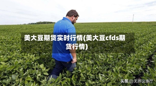 美大豆期货实时行情(美大豆cfds期货行情)-第2张图片