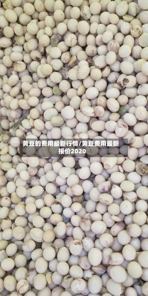 黄豆的费用最新行情/黄豆费用最新报价2020