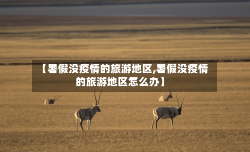 【暑假没疫情的旅游地区,暑假没疫情的旅游地区怎么办】