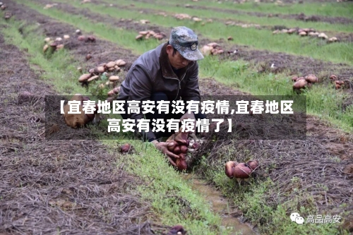 【宜春地区高安有没有疫情,宜春地区高安有没有疫情了】