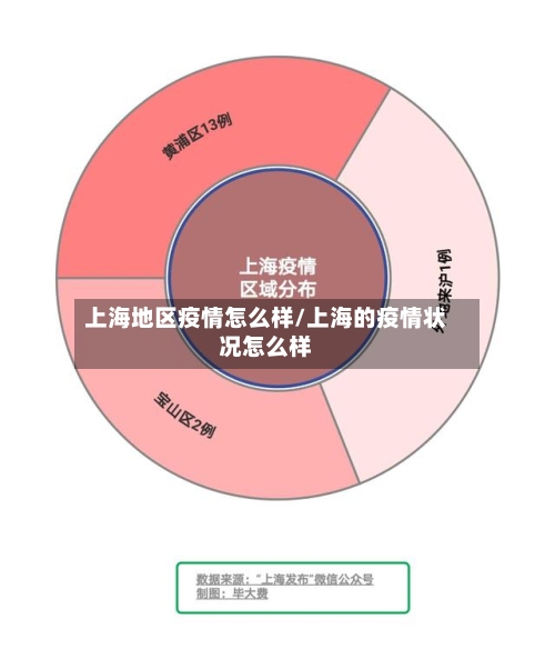 上海地区疫情怎么样/上海的疫情状况怎么样