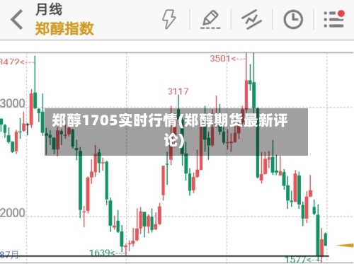 郑醇1705实时行情(郑醇期货最新评论)