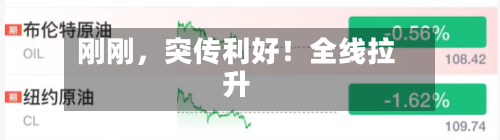 刚刚，突传利好！全线拉升