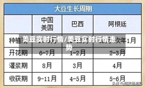 美豆实时行情/美豆实时行情走势-第3张图片