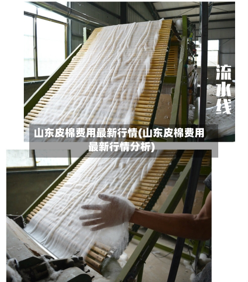 山东皮棉费用最新行情(山东皮棉费用最新行情分析)