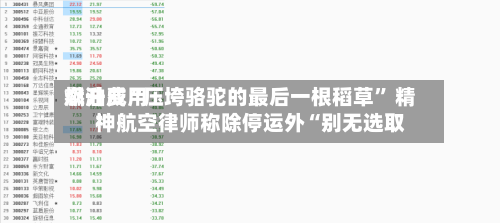 燃油费用飙升成“压垮骆驼的最后一根稻草	” 精神航空律师称除停运外“别无选取”-第3张图片