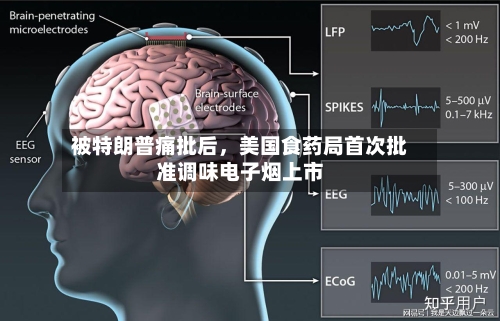 被特朗普痛批后，美国食药局首次批准调味电子烟上市-第2张图片