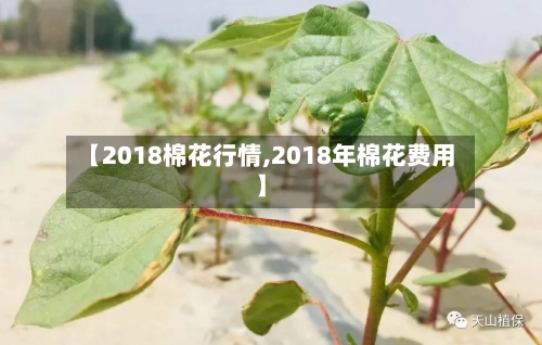 【2018棉花行情,2018年棉花费用】-第2张图片