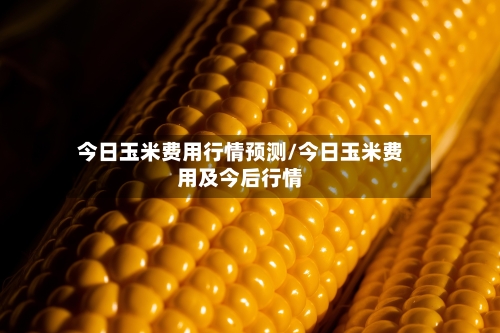 今日玉米费用行情预测/今日玉米费用及今后行情