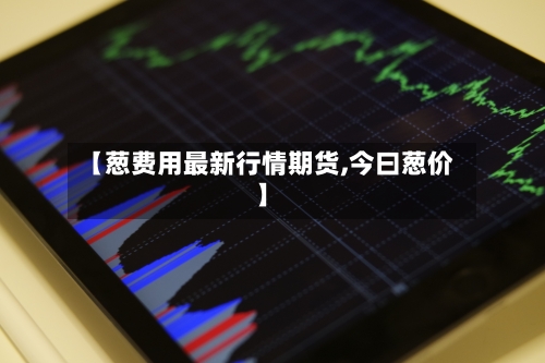 【葱费用最新行情期货,今曰葱价】