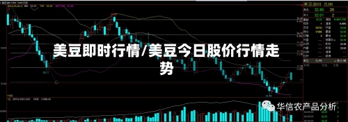 美豆即时行情/美豆今日股价行情走势