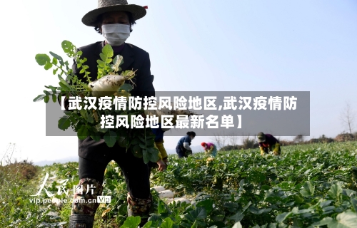 【武汉疫情防控风险地区,武汉疫情防控风险地区最新名单】