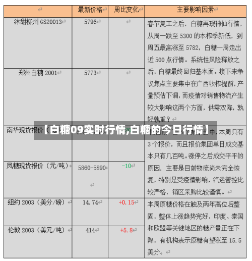 【白糖09实时行情,白糖的今日行情】