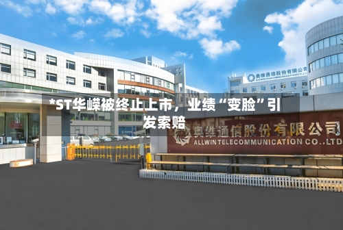 *ST华嵘被终止上市	，业绩“变脸	”引发索赔-第2张图片