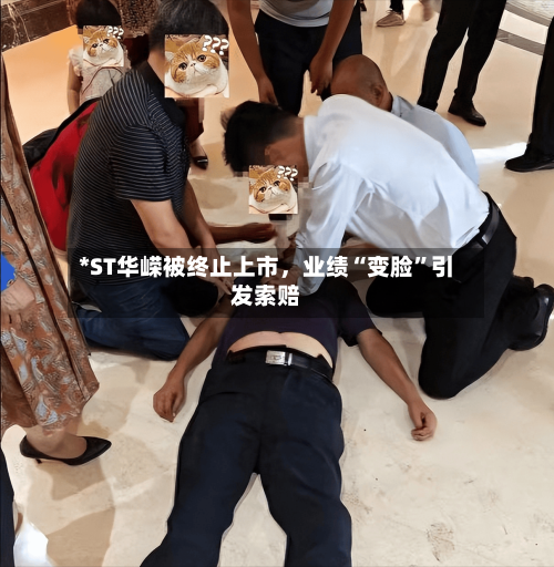 *ST华嵘被终止上市	，业绩“变脸”引发索赔-第3张图片
