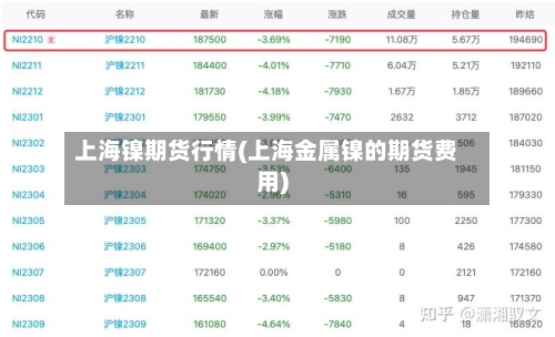 上海镍期货行情(上海金属镍的期货费用)