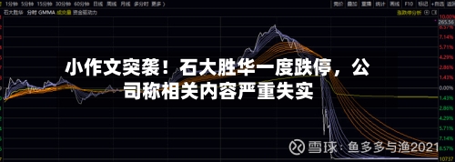 小作文突袭！石大胜华一度跌停	，公司称相关内容严重失实-第3张图片