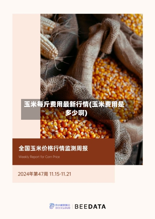 玉米每斤费用最新行情(玉米费用是多少啊)