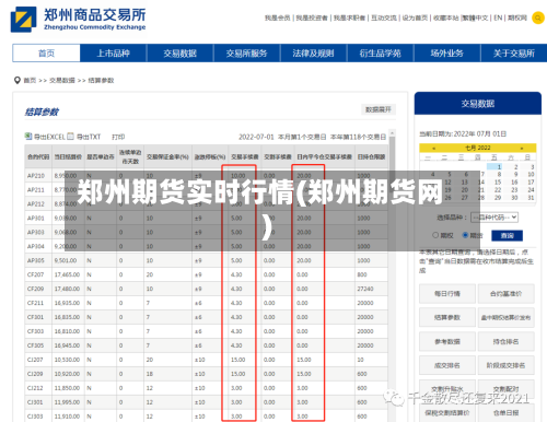 郑州期货实时行情(郑州期货网)