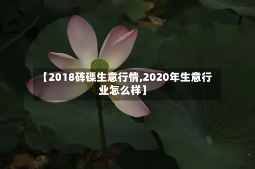 【2018砗磲生意行情,2020年生意行业怎么样】