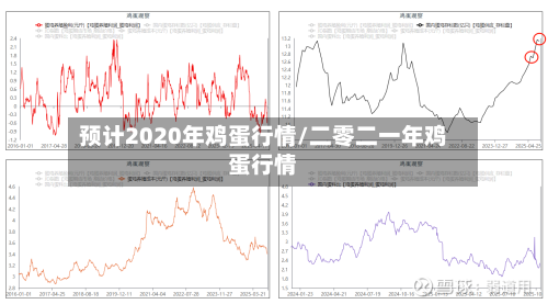预计2020年鸡蛋行情/二零二一年鸡蛋行情-第2张图片