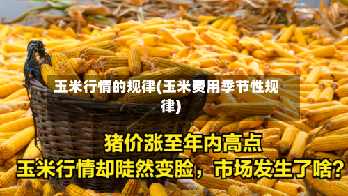 玉米行情的规律(玉米费用季节性规律)