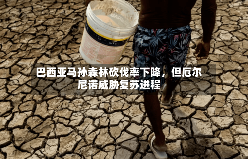 巴西亚马孙森林砍伐率下降，但厄尔尼诺威胁复苏进程-第2张图片