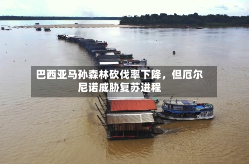 巴西亚马孙森林砍伐率下降，但厄尔尼诺威胁复苏进程