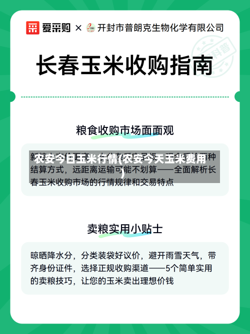 农安今日玉米行情(农安今天玉米费用)