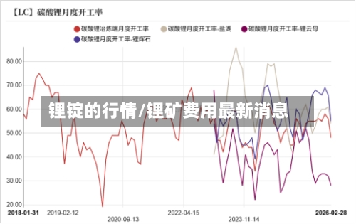 锂锭的行情/锂矿费用最新消息