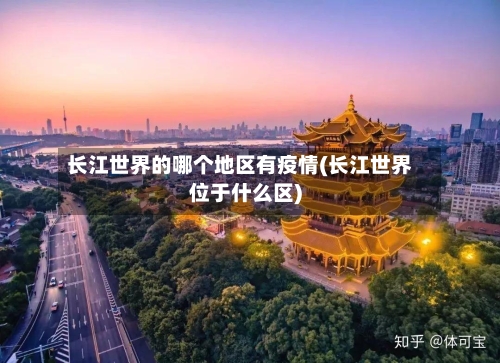 长江世界的哪个地区有疫情(长江世界位于什么区)