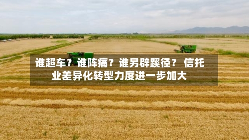 谁超车？谁阵痛？谁另辟蹊径？ 信托业差异化转型力度进一步加大-第3张图片